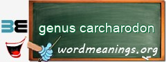 WordMeaning blackboard for genus carcharodon